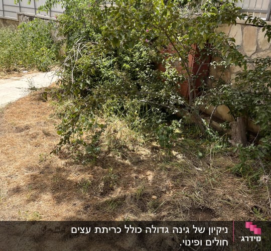 לפני